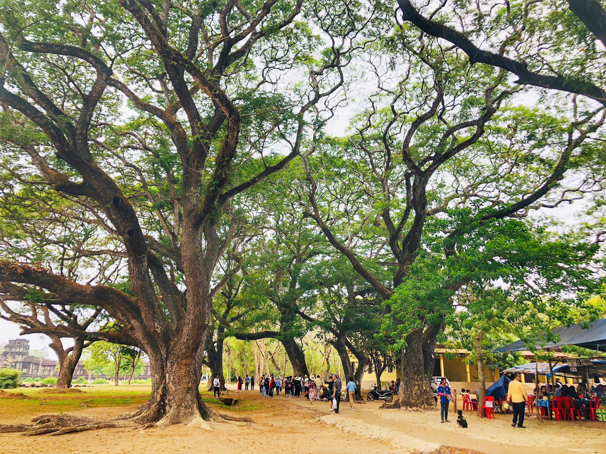Cambodia Cycling from Angkor To The Beach 13 Days